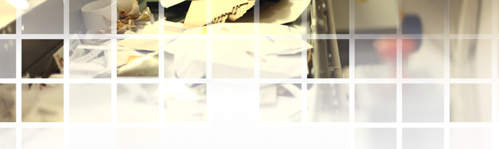 Ino Recyclage, Entreprise adaptée, Gestion déchets